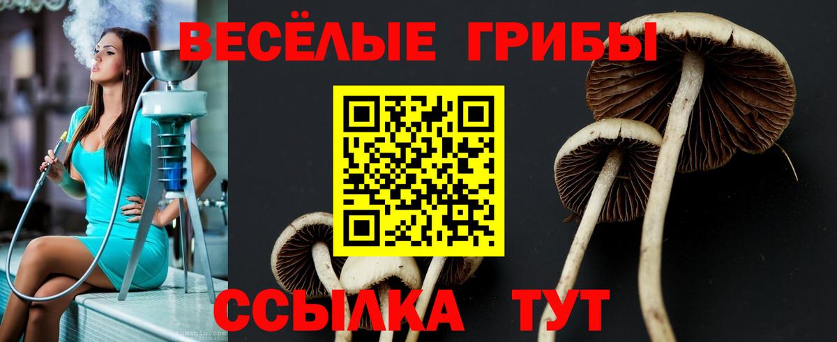 Галлюциногенные грибы Magic Shrooms  Галлюциногенные грибы мицелий  где купить   Вход с VPN  Звенигород 