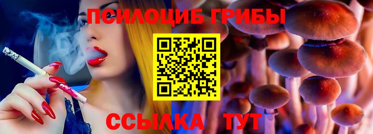 Галлюциногенные грибы Cubensis Звенигород