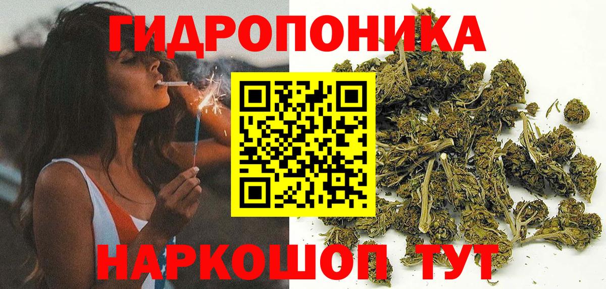 Бошки марихуана THC 21% Звенигород